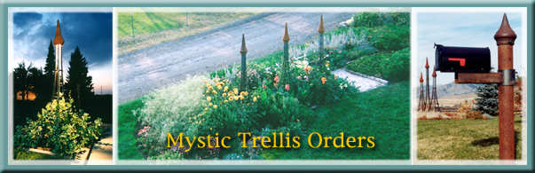 Order your steel trellis product here