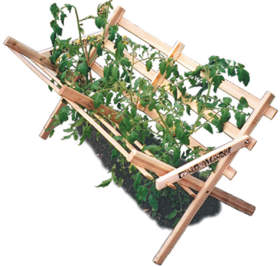 Tomato trellis